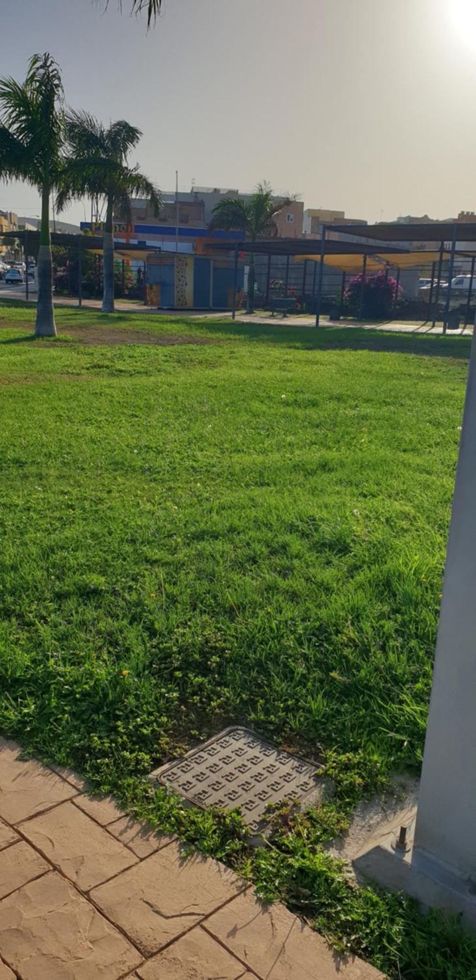 Atico Carrizal Apartman Kültér fotó